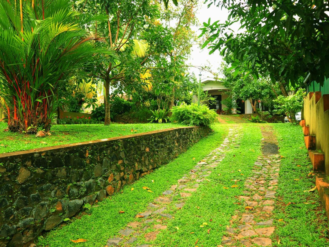 Galle Rest Home المظهر الخارجي الصورة