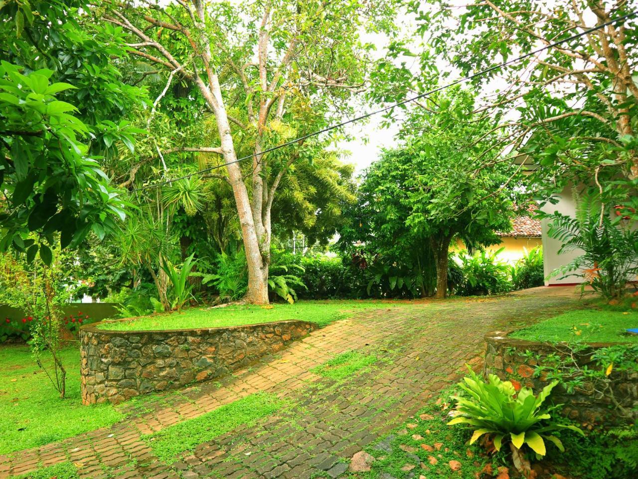 Galle Rest Home المظهر الخارجي الصورة